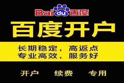 成功案例揭示：百度推广返点的运用之道